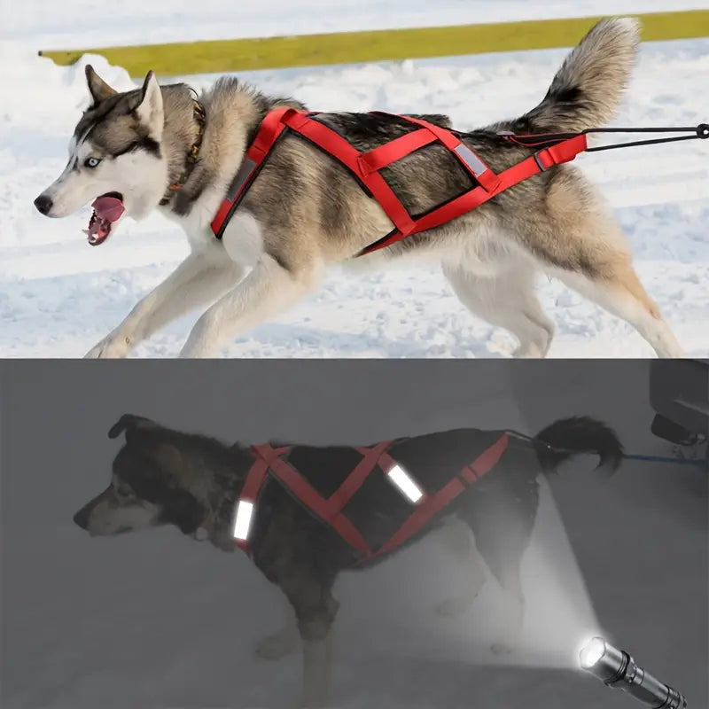 "AdventureX Harness" Arnés de tiro para perros