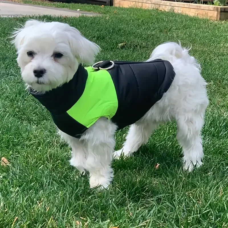 "ZipPup Adventure Vest" Chaqueta Con Cremallera Trasera Para Perros Aventureros