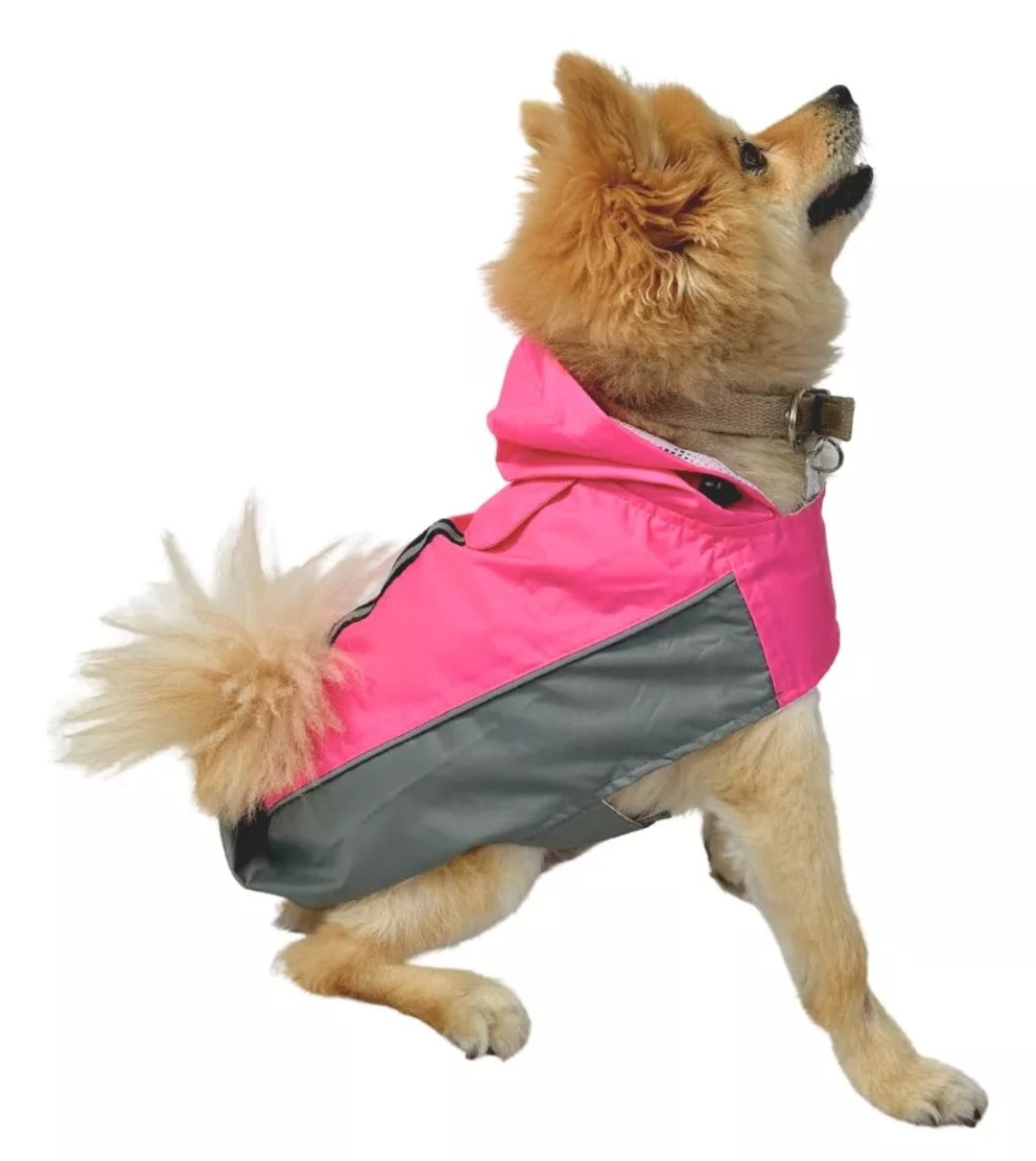 "Wind Conqueror" Impermeable Perruno