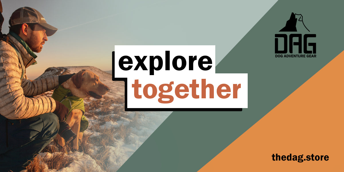 Explore together DogAdventureGearDAG 